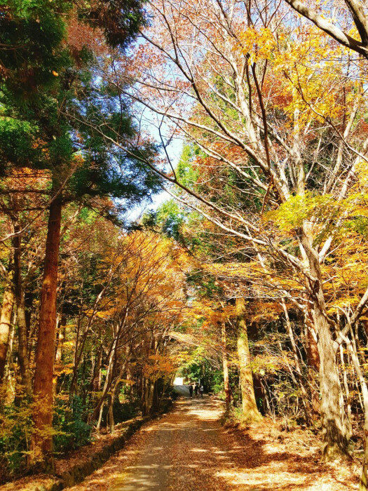 가을산책로
