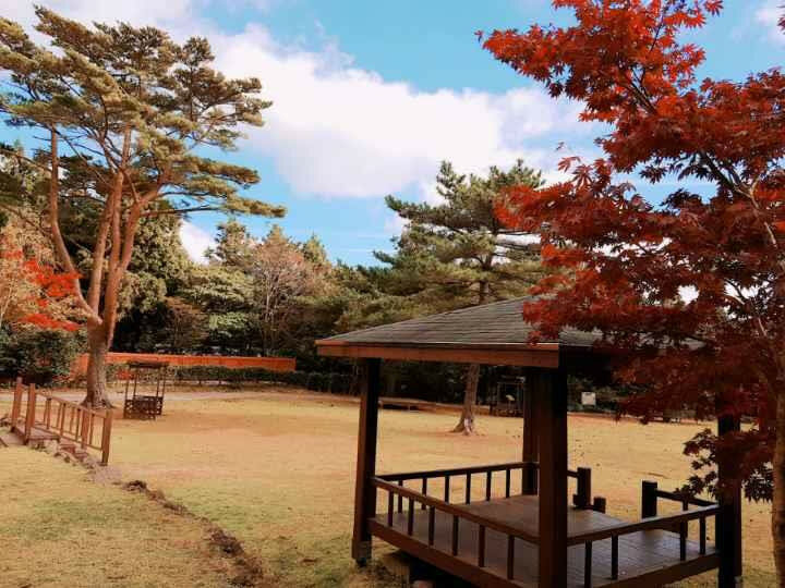 자연과 함께하는 휴식공간 서귀포 자연휴양림 - |