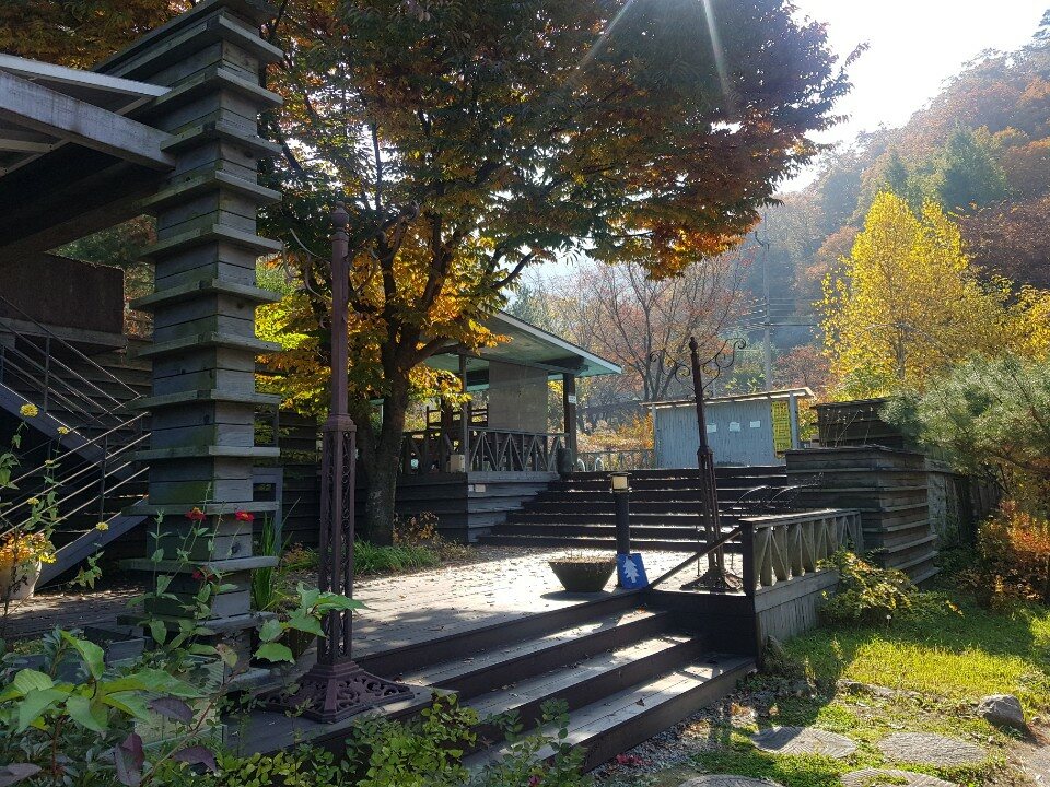 청평자연휴양림 - |