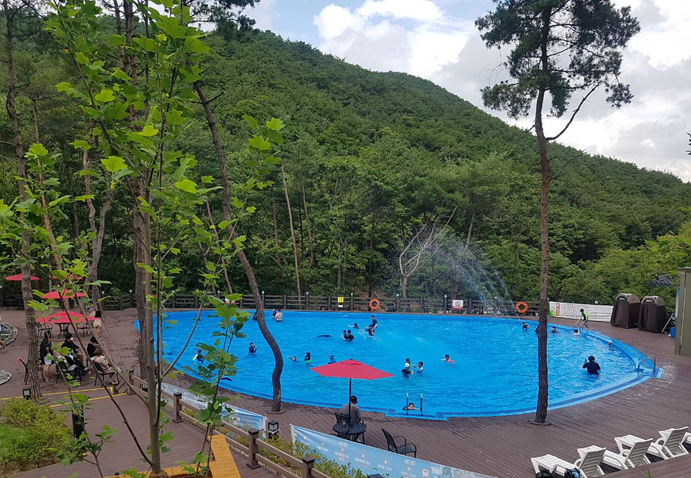 속리산숲체험휴양마을 - |