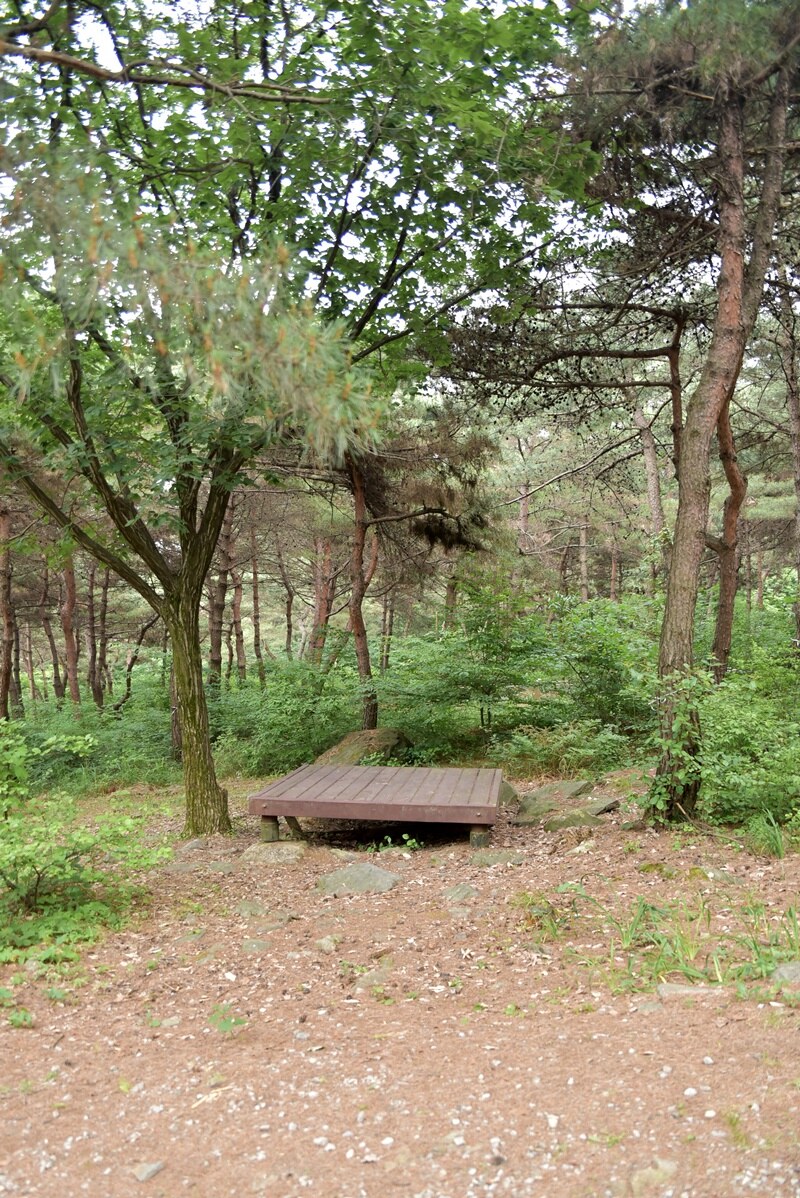 태학산 자연휴양림, 태학산 치유의 숲 - |
