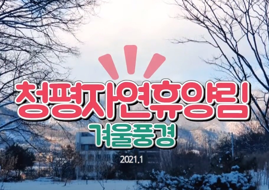 청평자연휴양림 - 영상갤러리 |