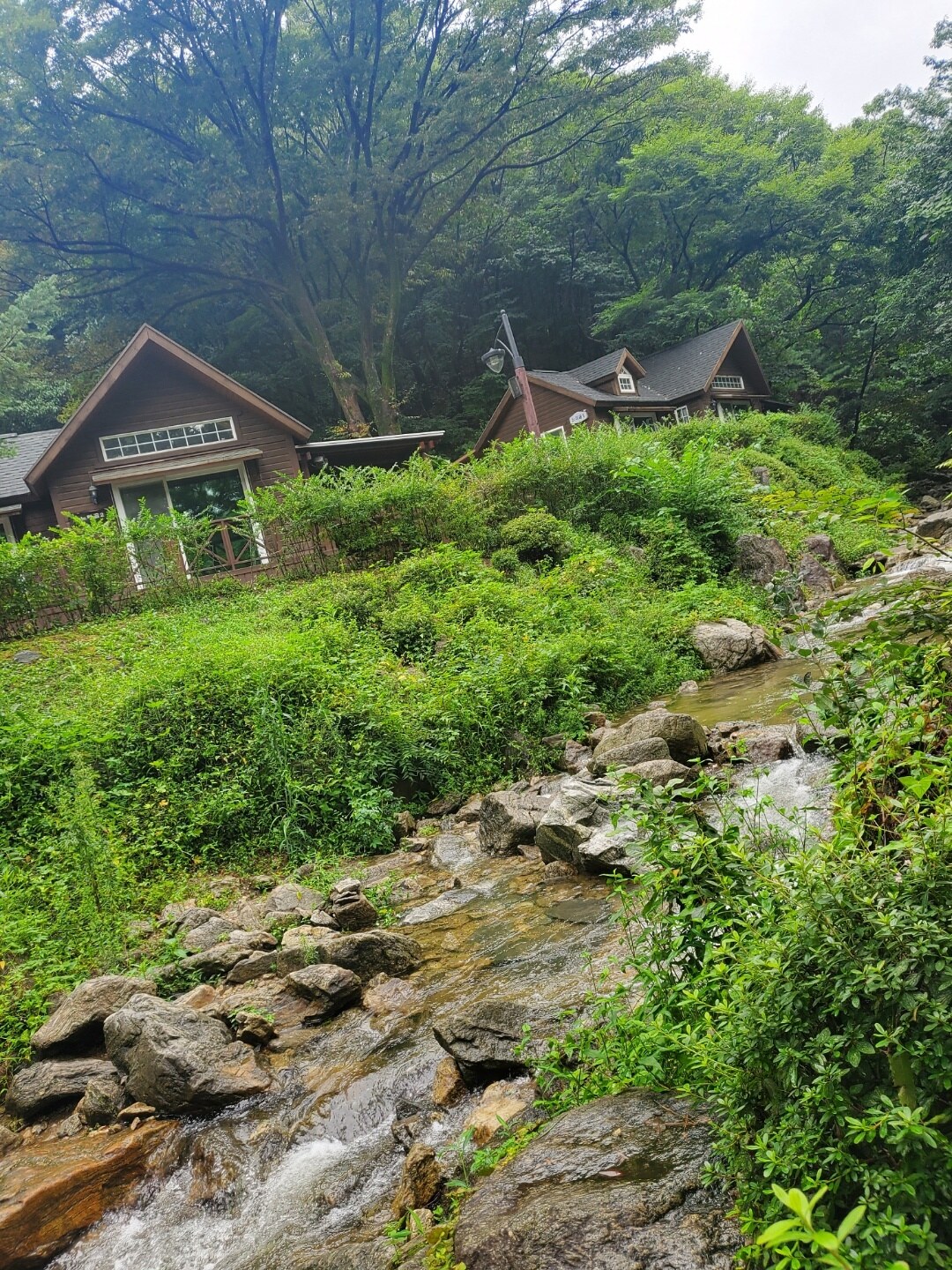용인자연휴양림 - |
