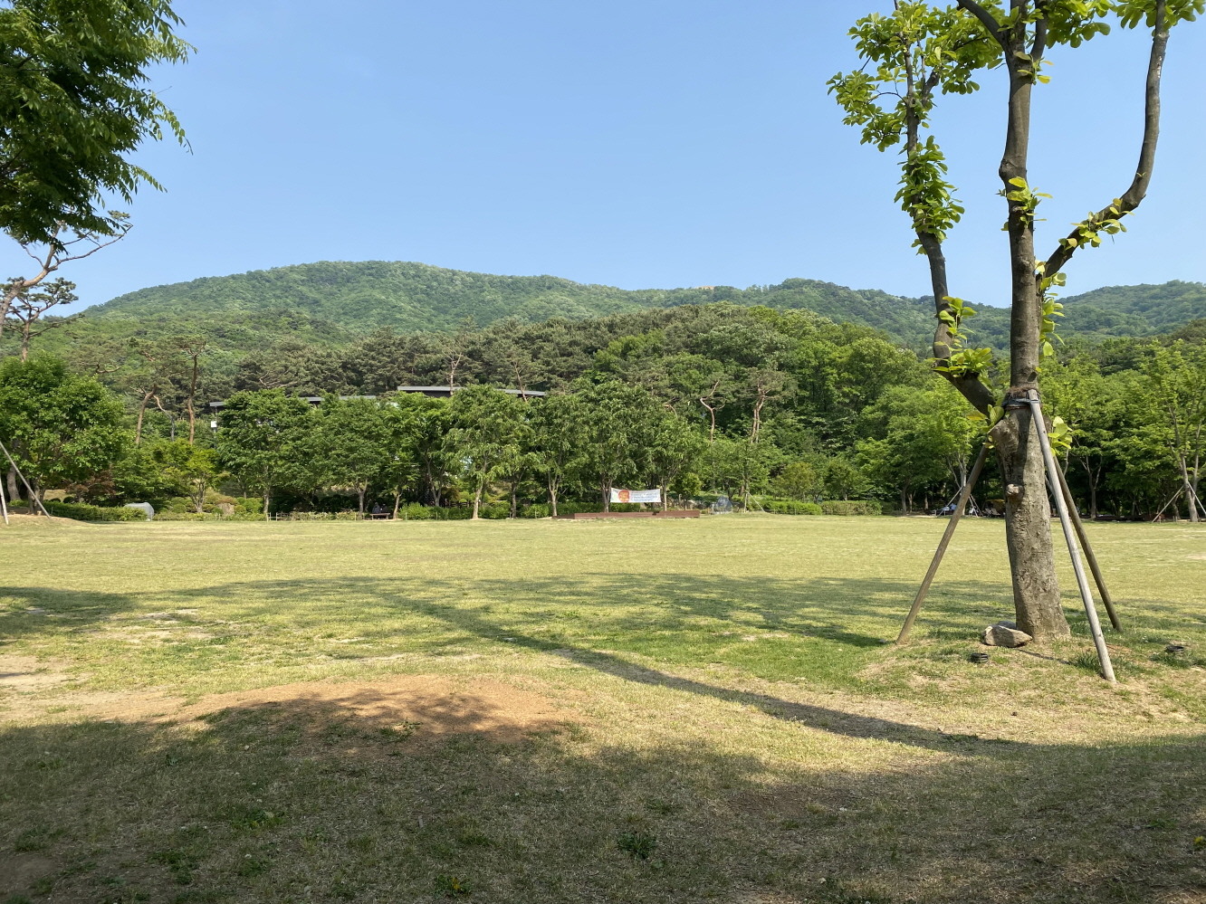 5월 용인자연휴양림 잔디광장