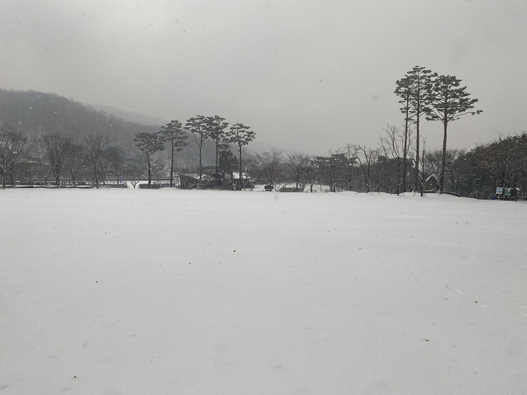 22년 12월 용인자연휴양림 잔디광장