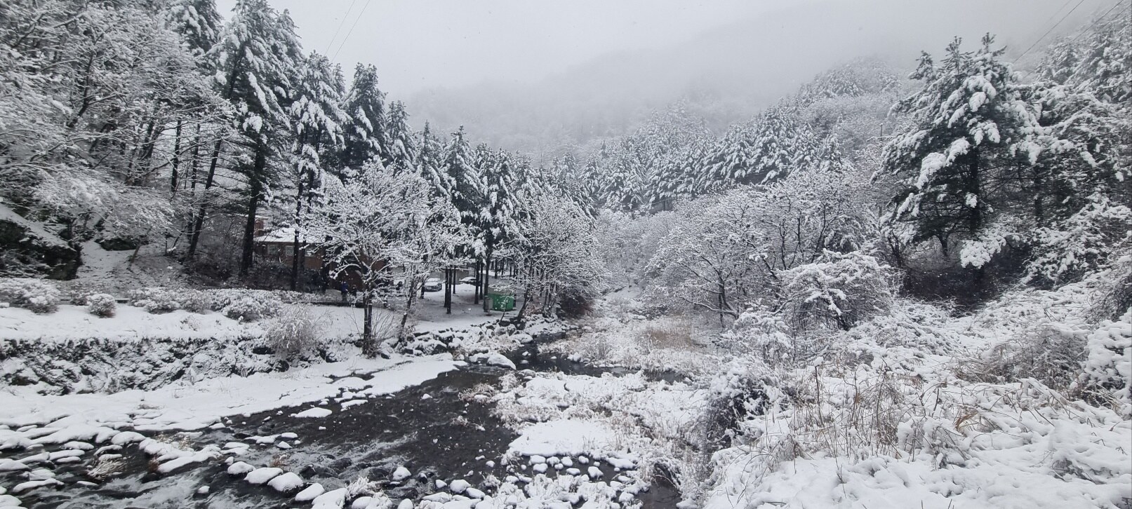 칼봉산자연휴양림의 겨울