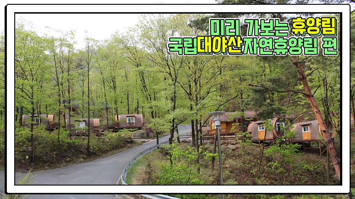 산림청 국립대야산자연휴양림 - |