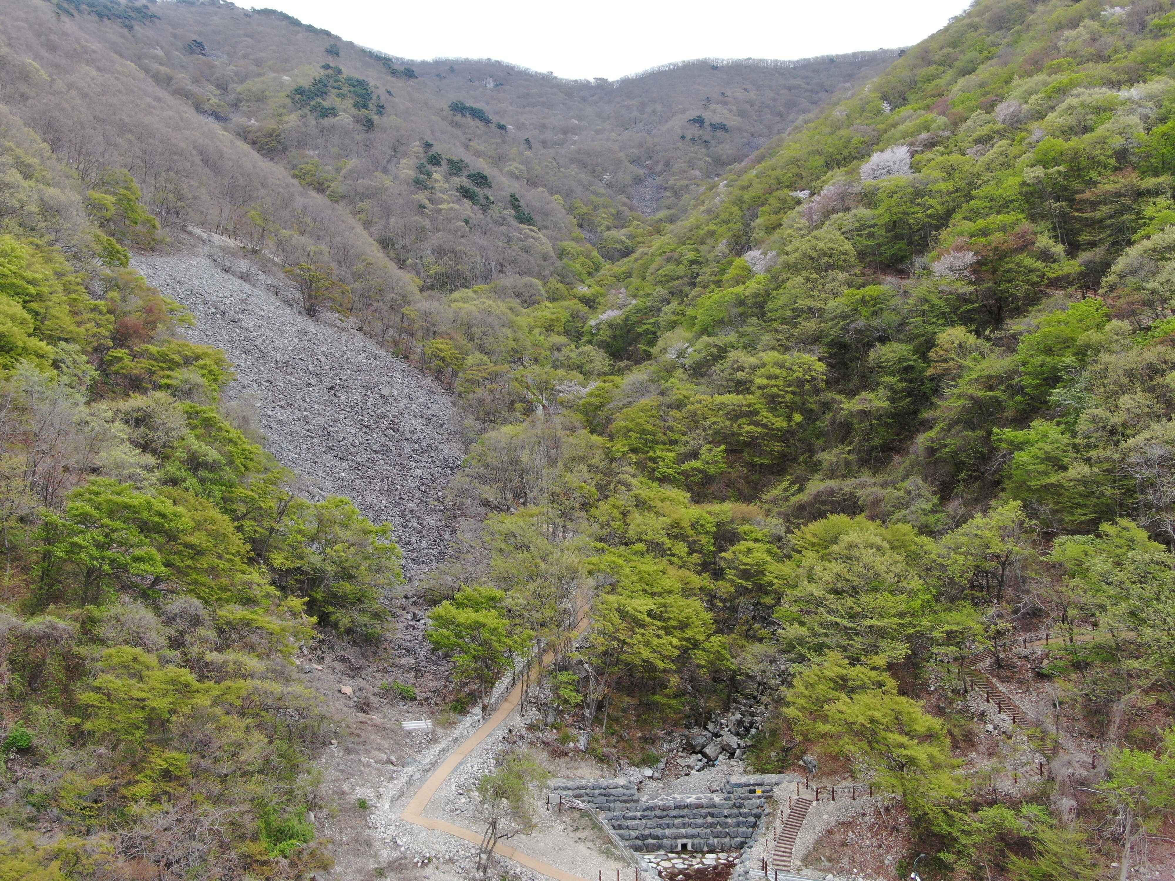 도래재 숲길.JPG