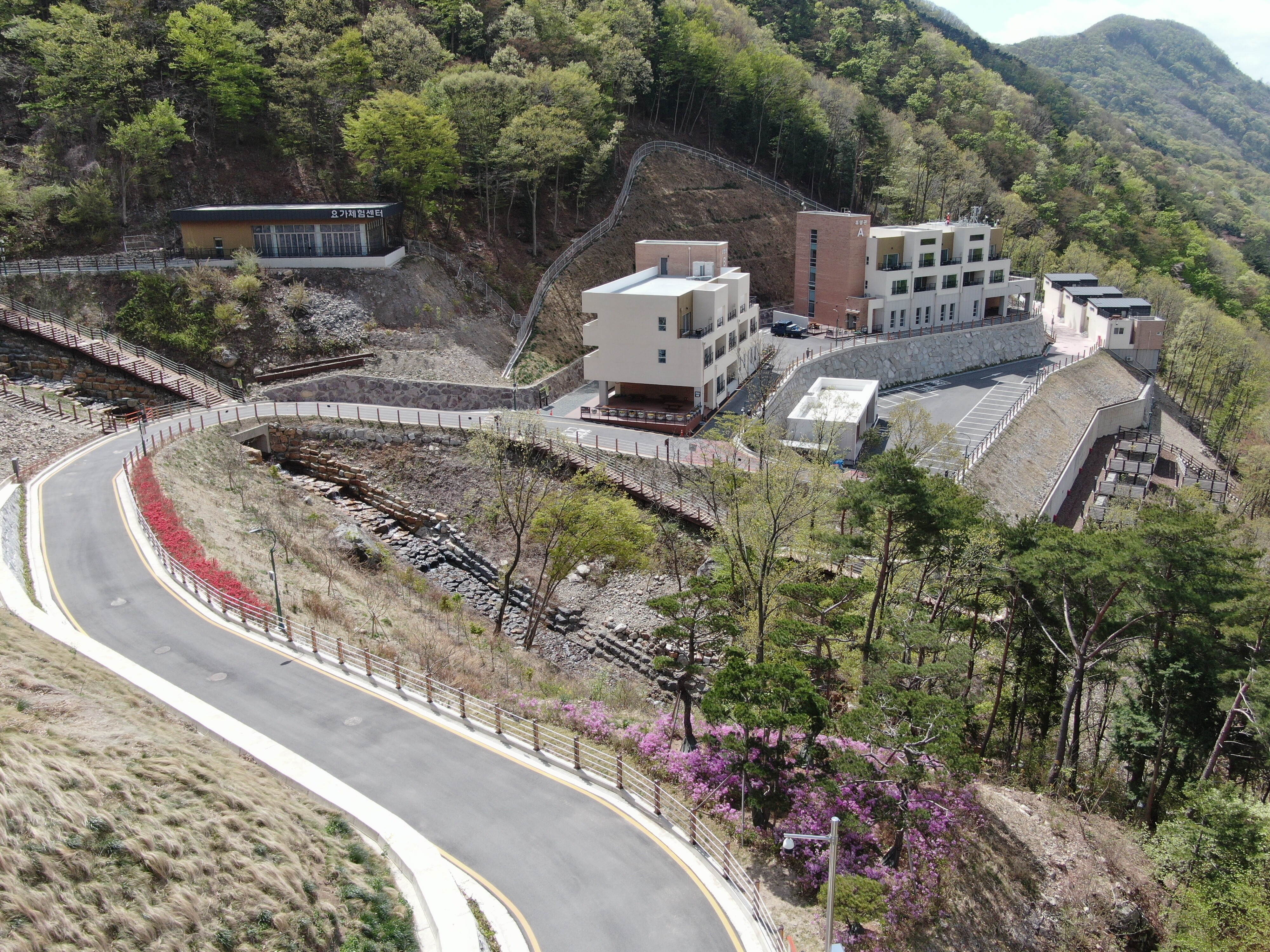 도래재 내려가는 길.JPG