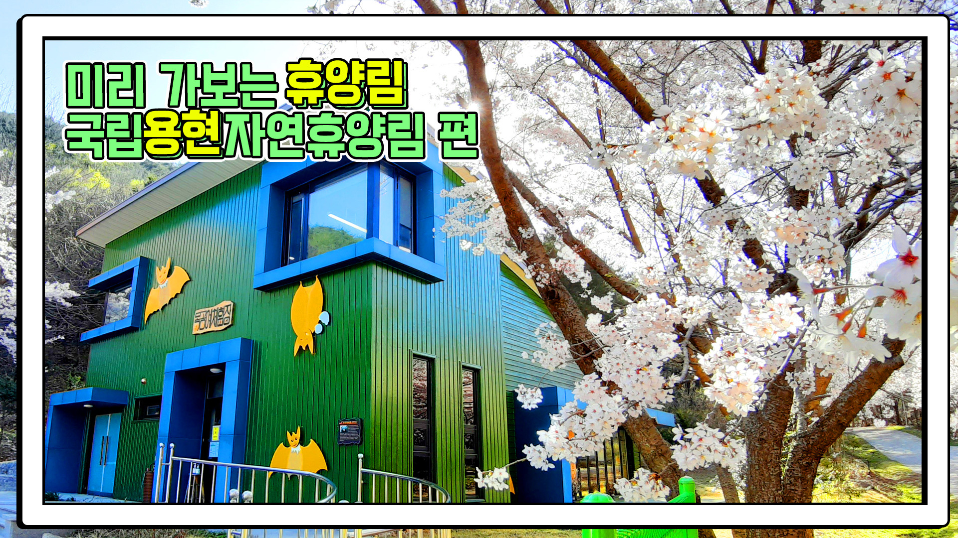 산림청 국립용현자연휴양림 - 영상갤러리 |