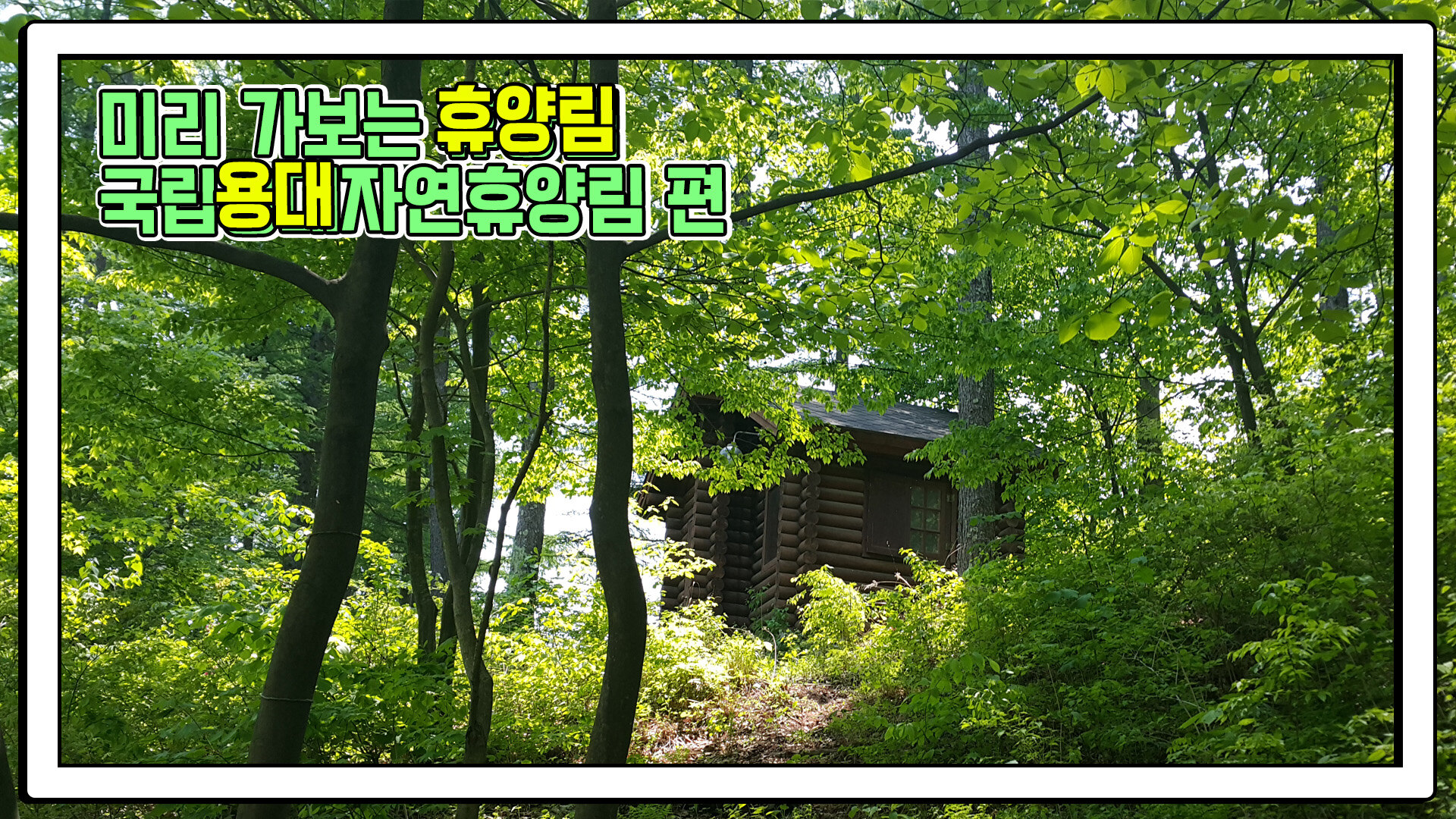 미리 가보는 휴양림: 국립용대자연휴양림 편
