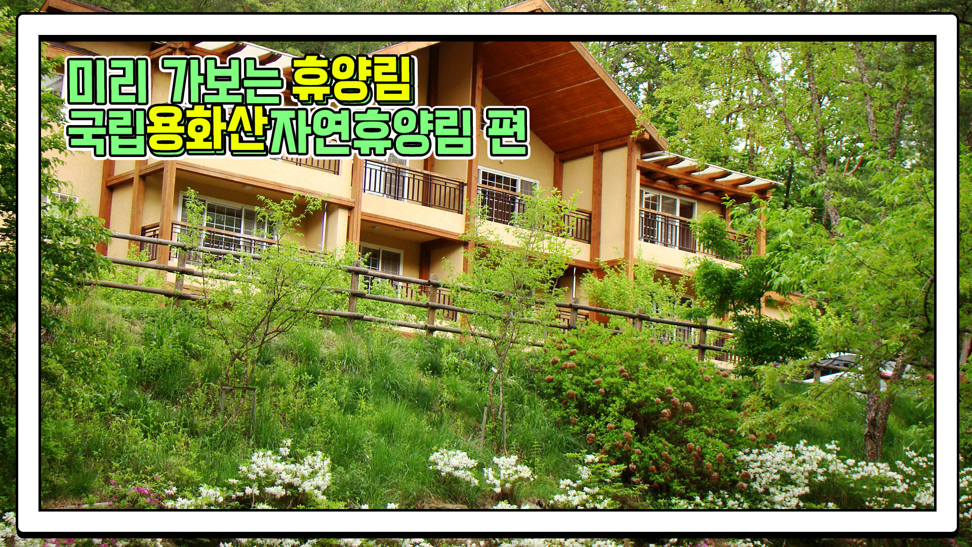 산림청 국립용화산자연휴양림 - |
