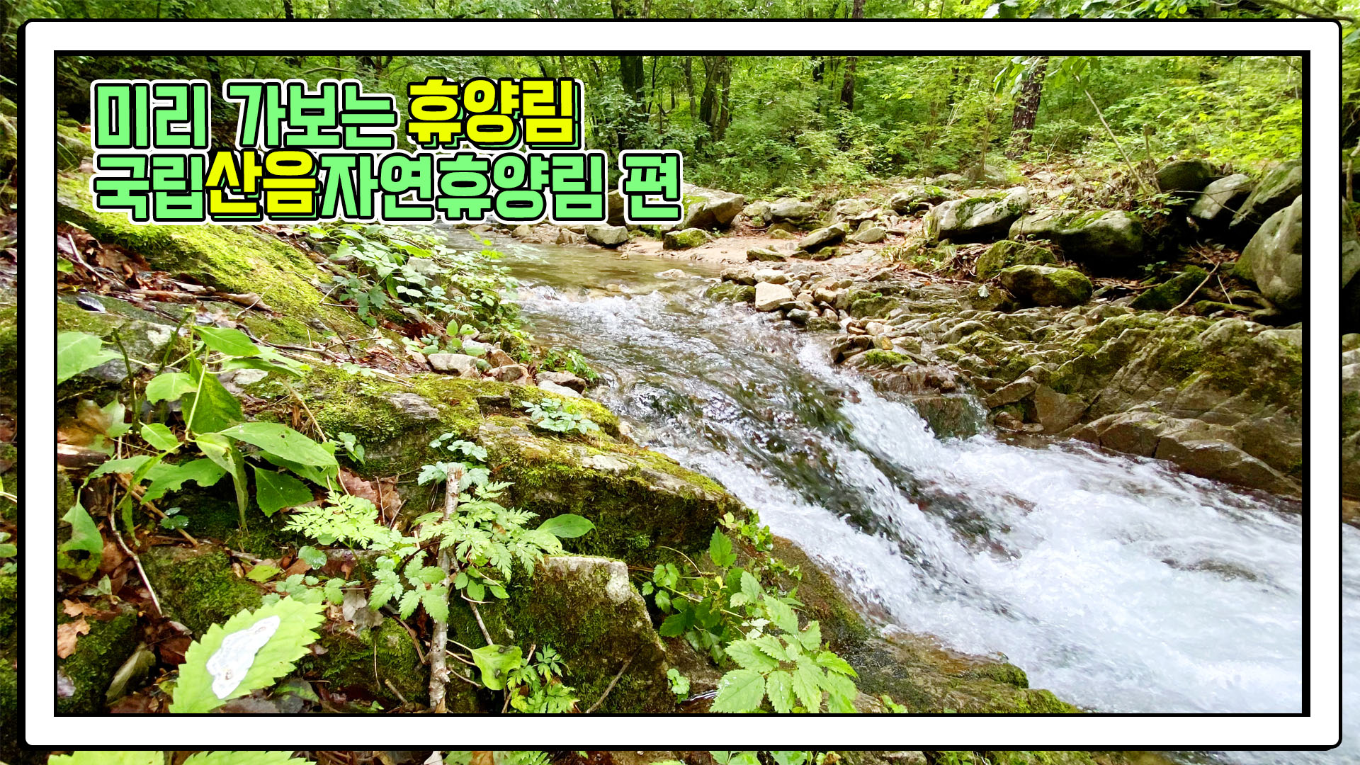 산림청 국립산음자연휴양림 - |