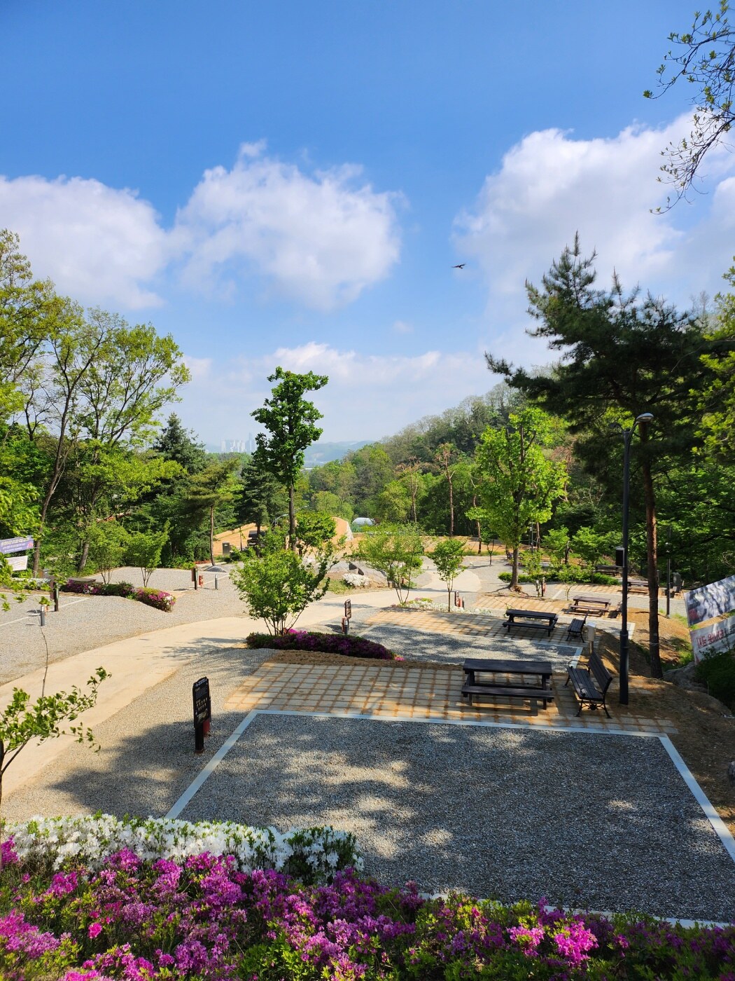 태학산 자연휴양림, 태학산 치유의 숲 - 숲갤러리 |