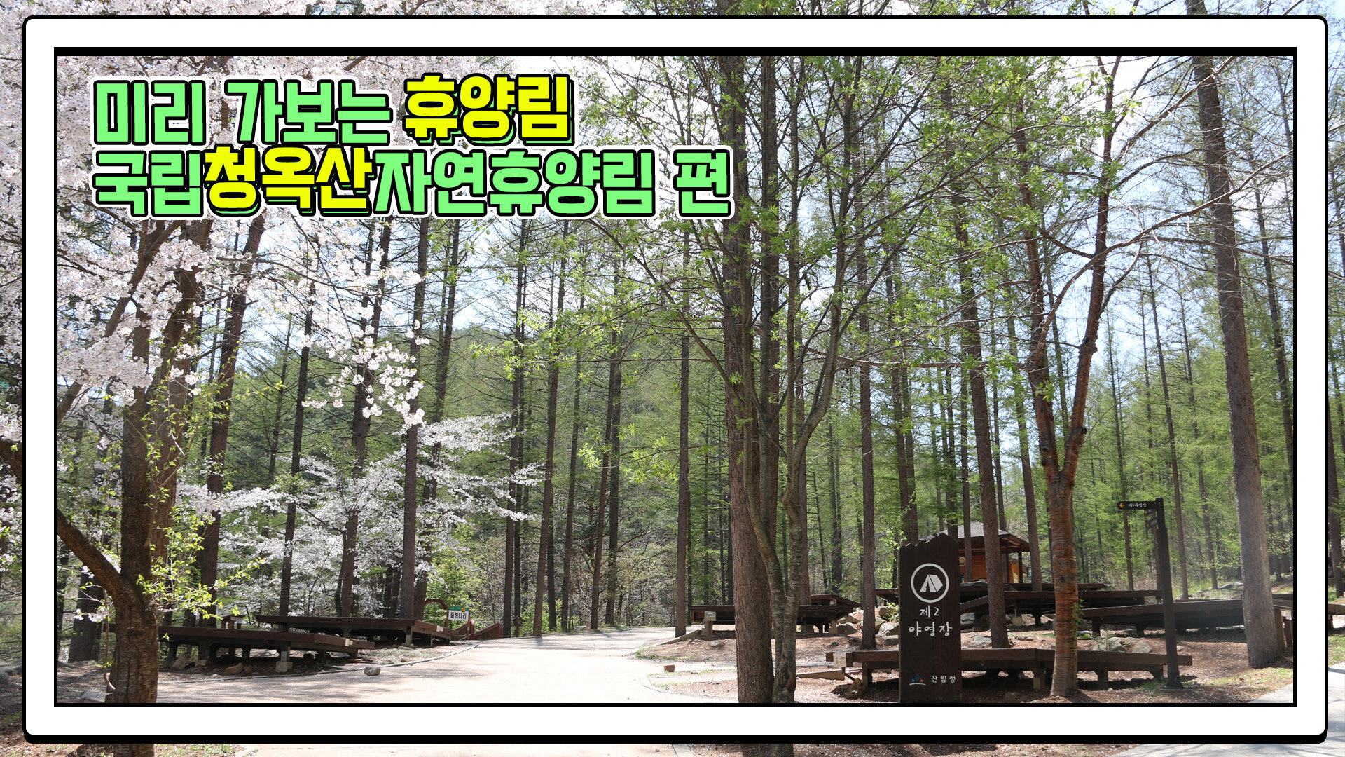 산림청 국립청옥산자연휴양림 - 영상갤러리 |