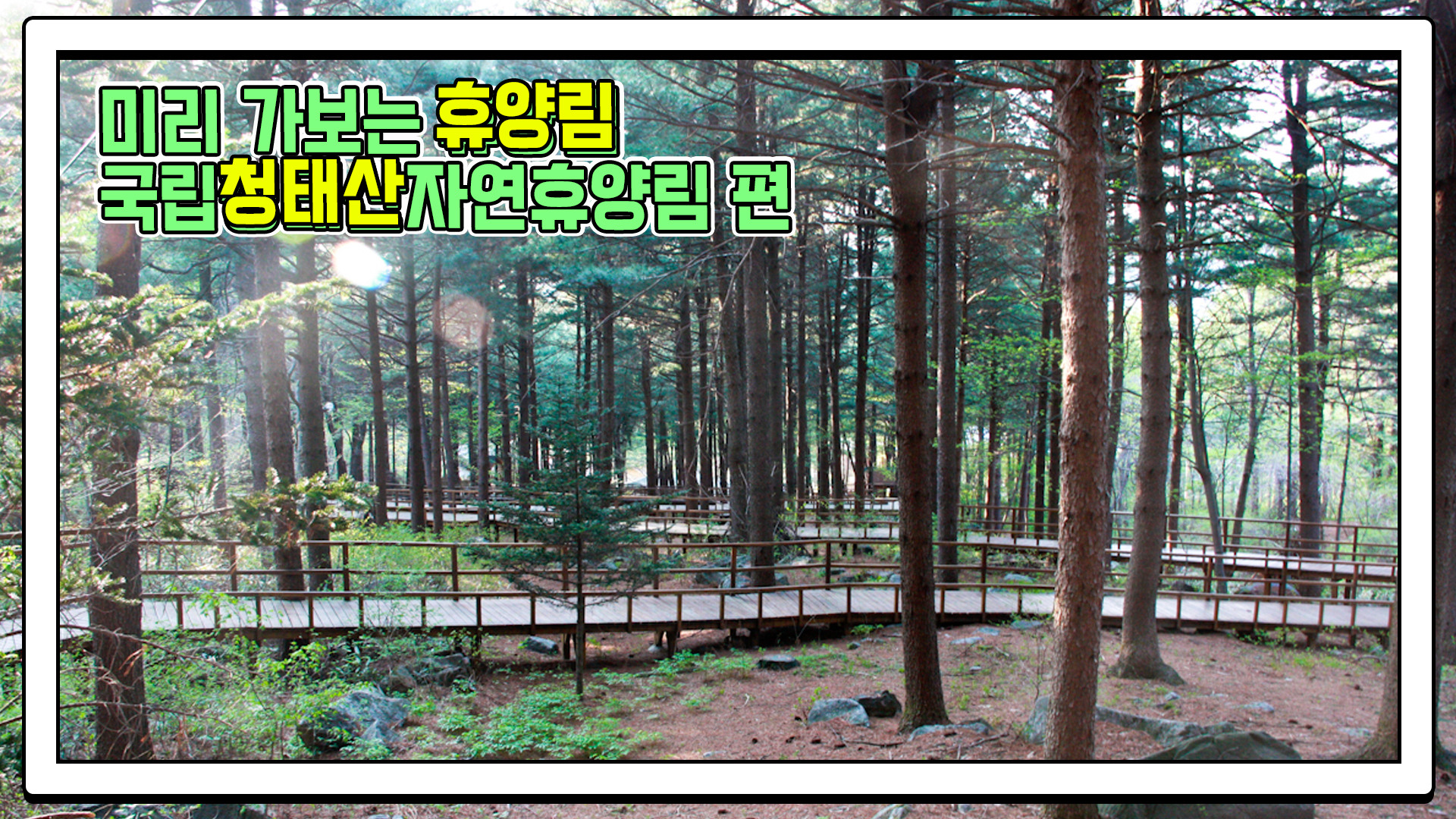 산림청 국립청태산자연휴양림 - 영상갤러리 |