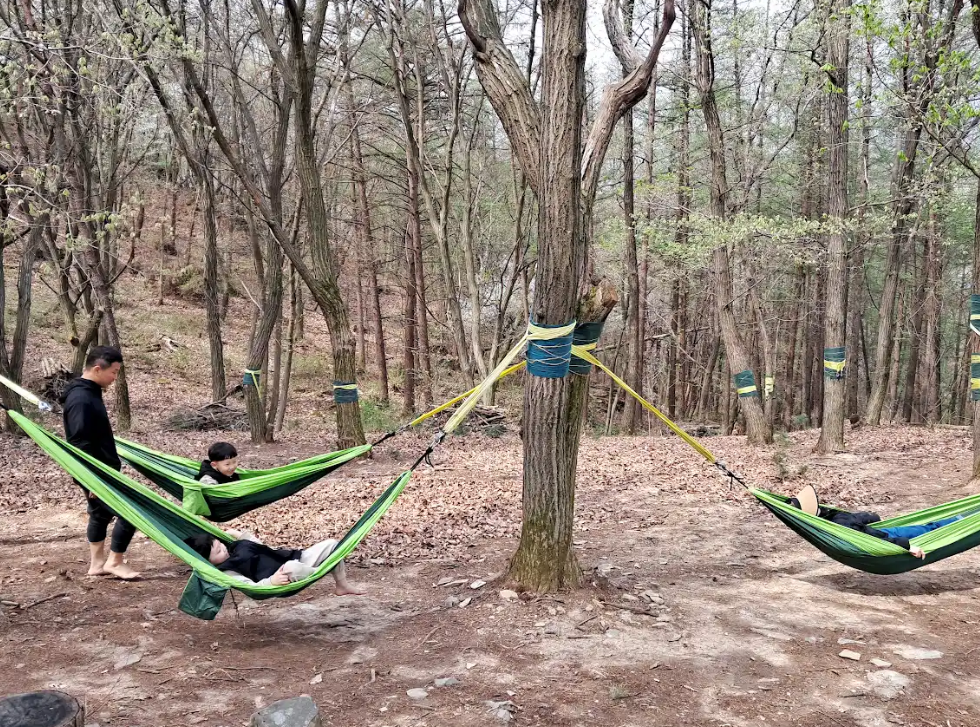 (산림치유)해먹쉼