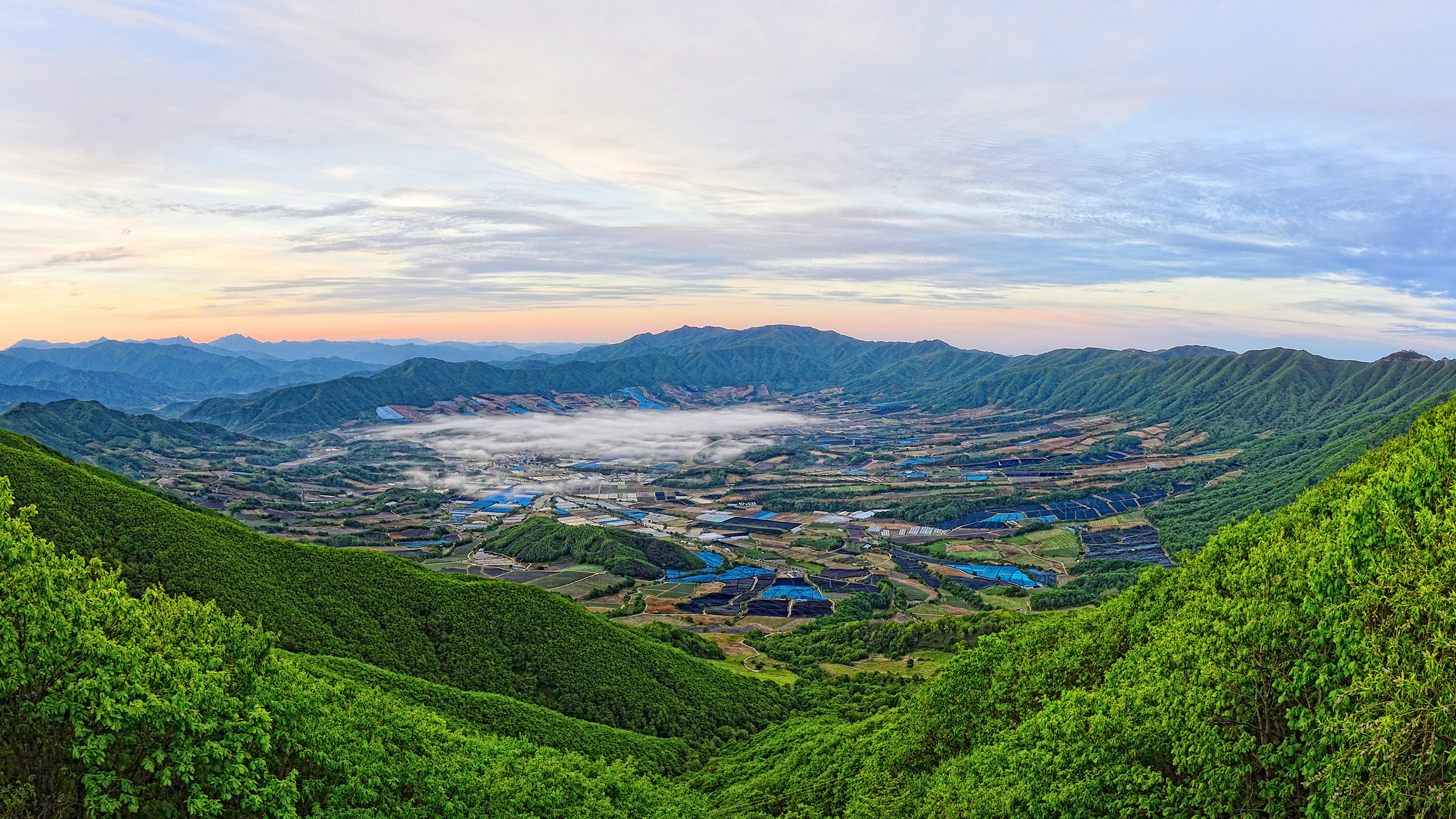 6경 펀치볼  자연이 빛은 화채 그릇