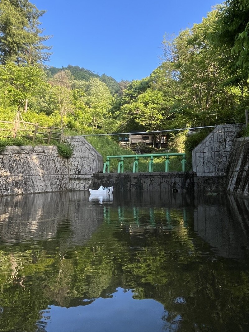 푸르른 춘천숲