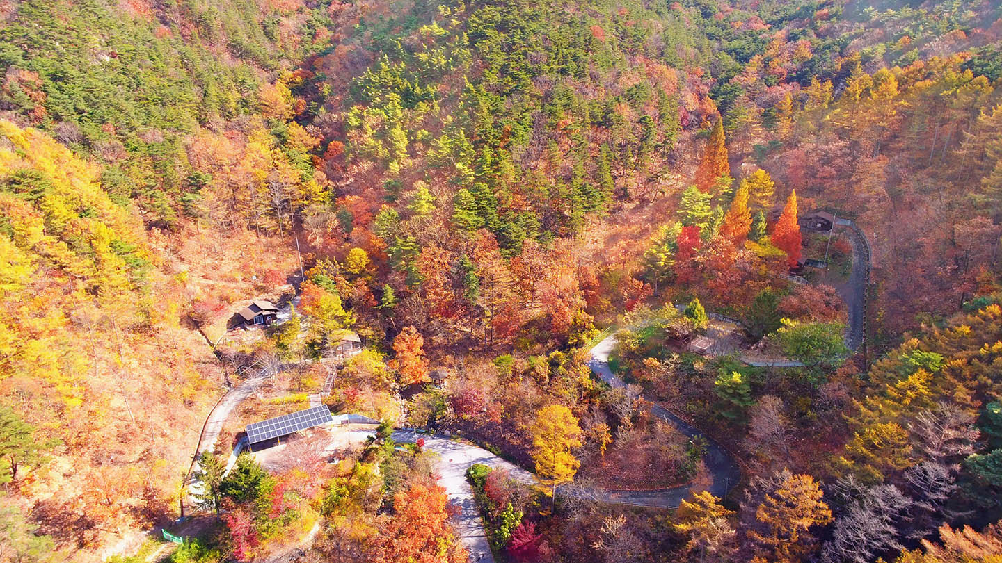 속리산말티재자연휴양림 숲속의 집(200동·300동) 전경(가을)