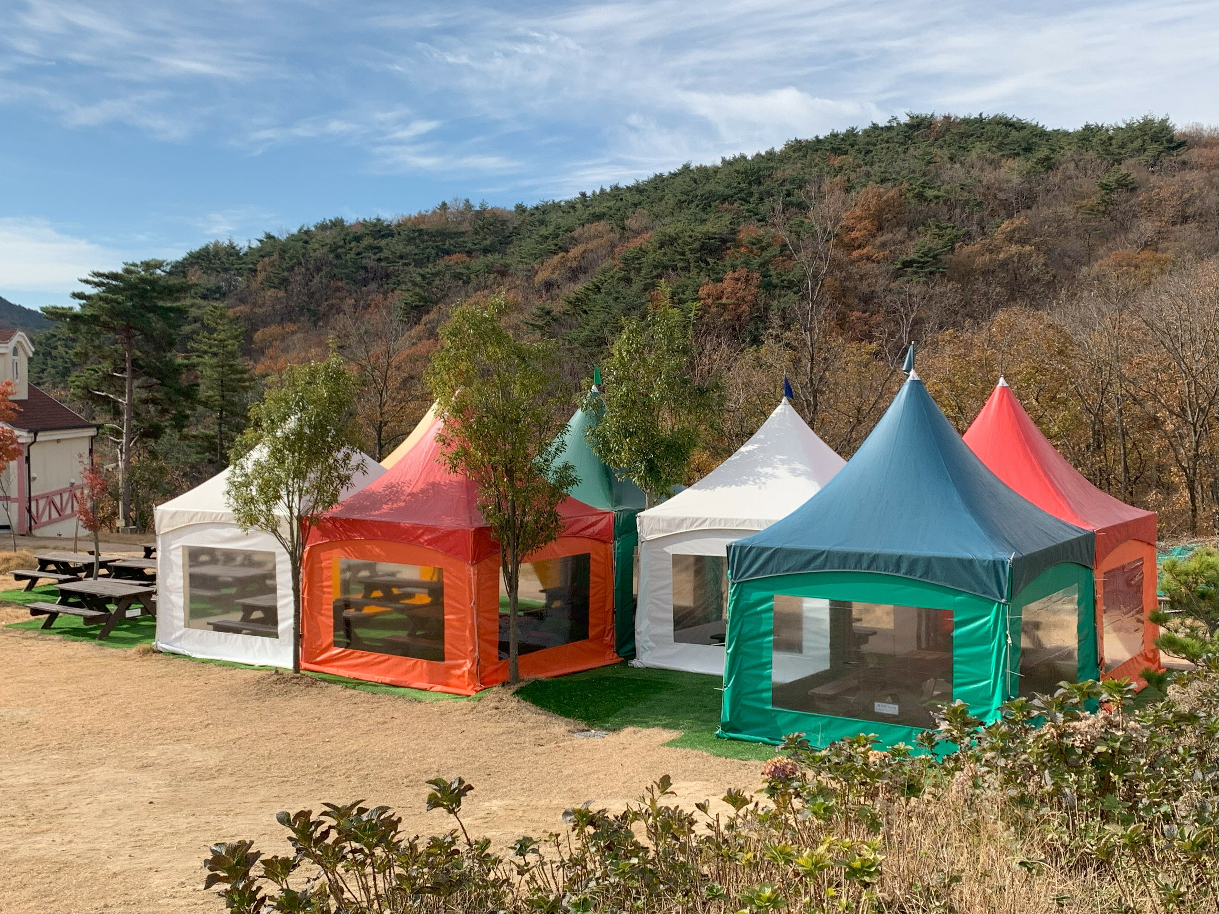 12월의 국립달음산자연휴양림(몽골텐트)