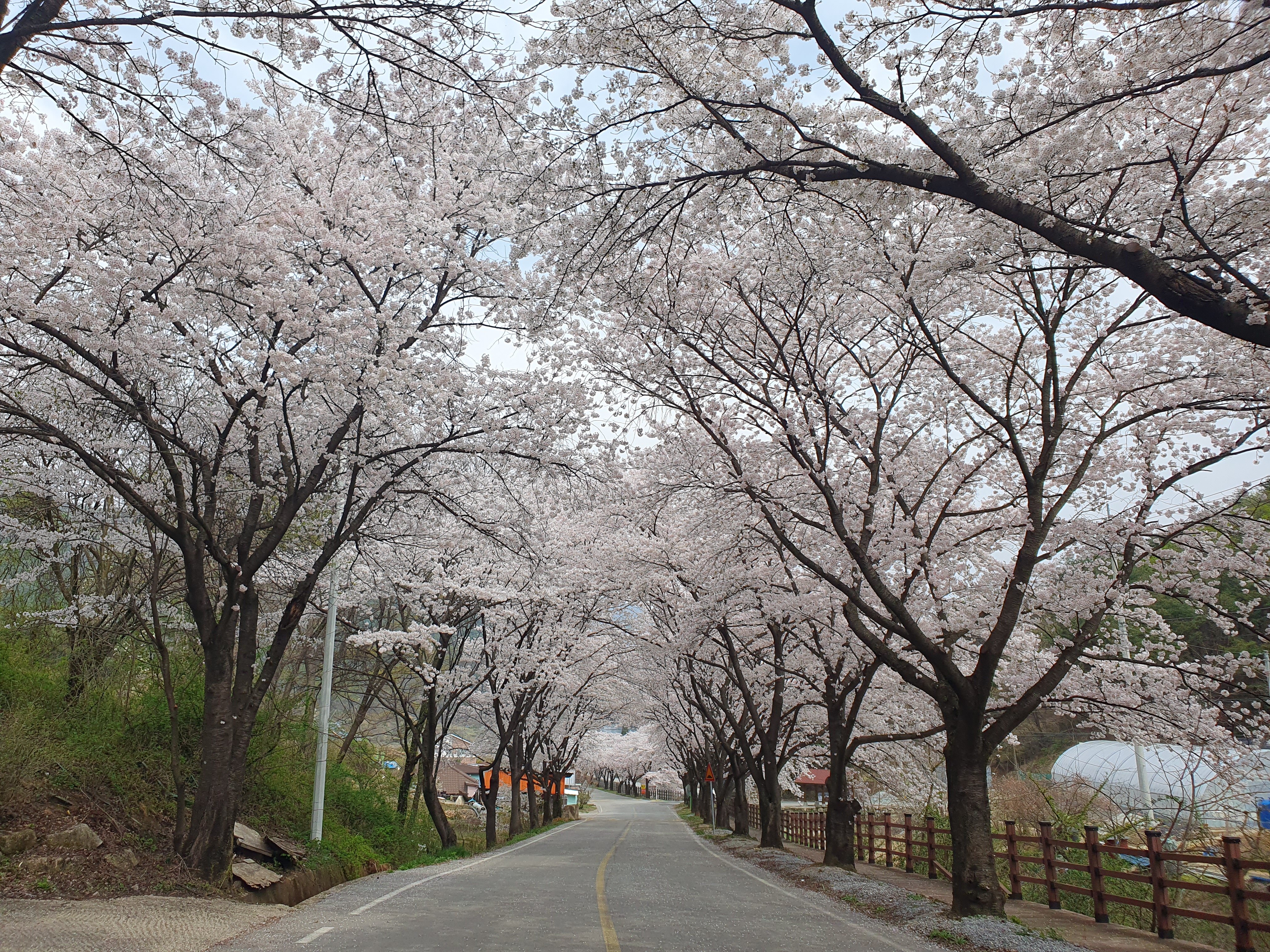 산책길