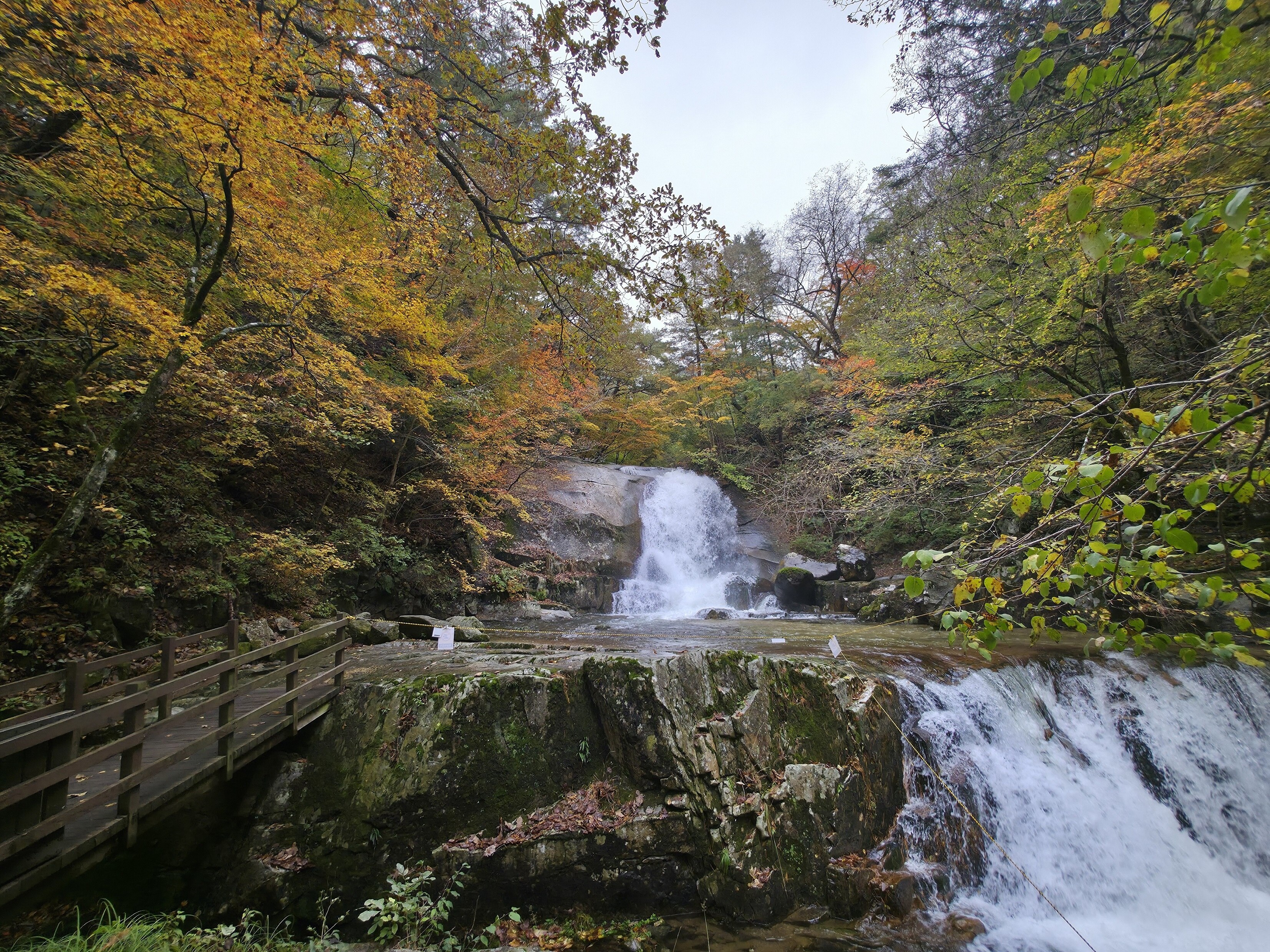 25. 10. 16. 단풍 (이단폭포)