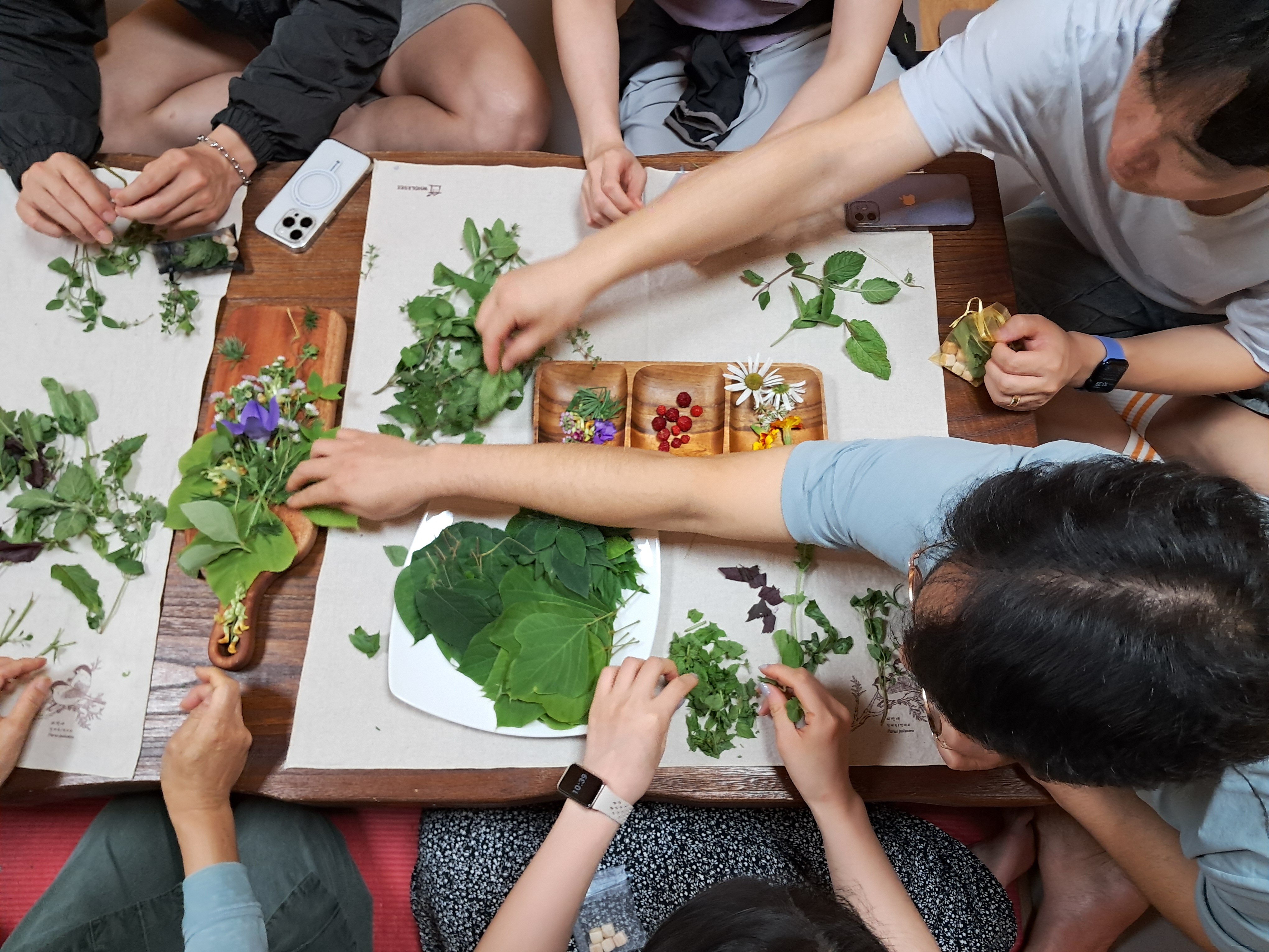 산림치유 (치유센터)
