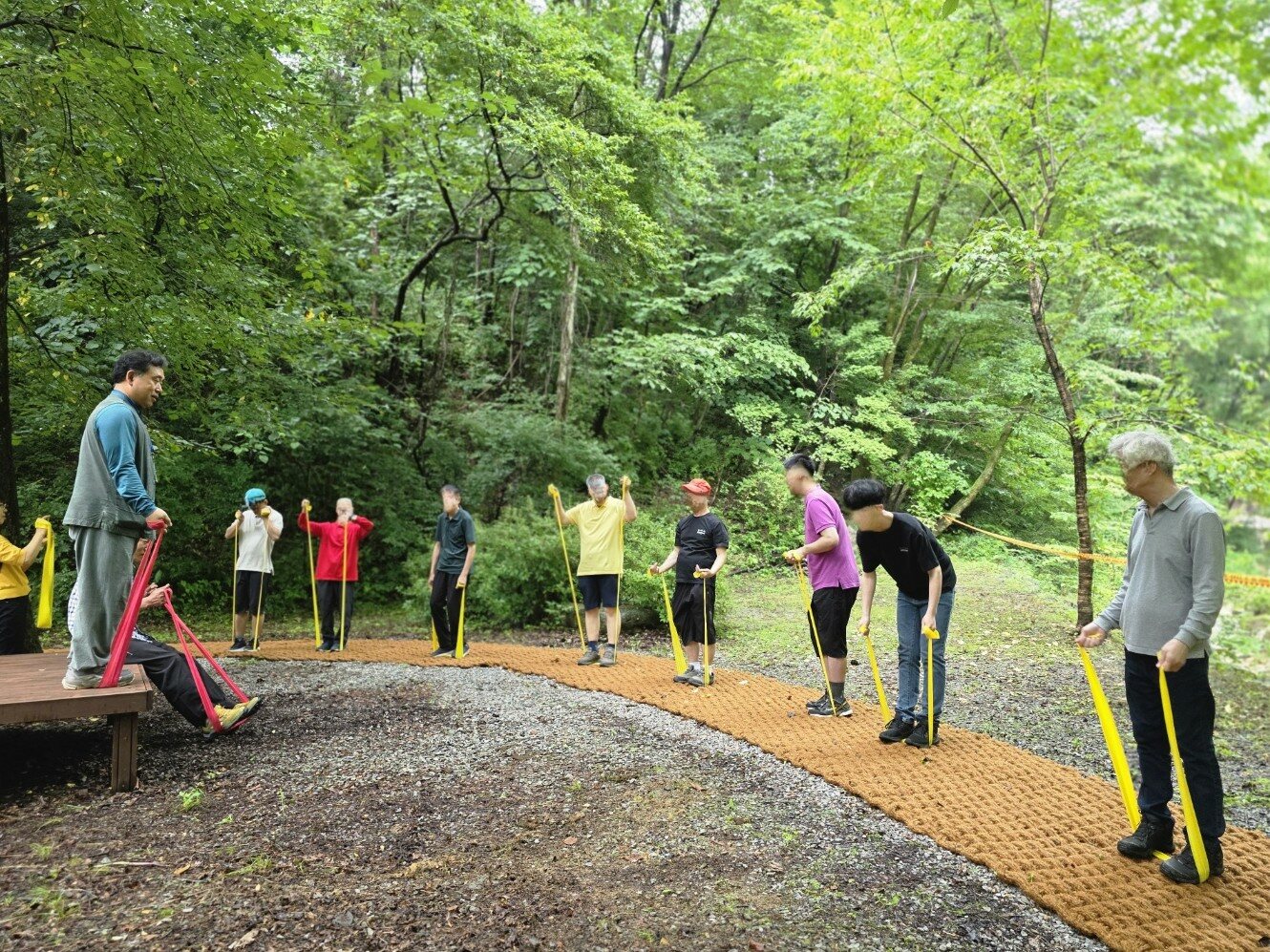 산림치유 (치유센터)