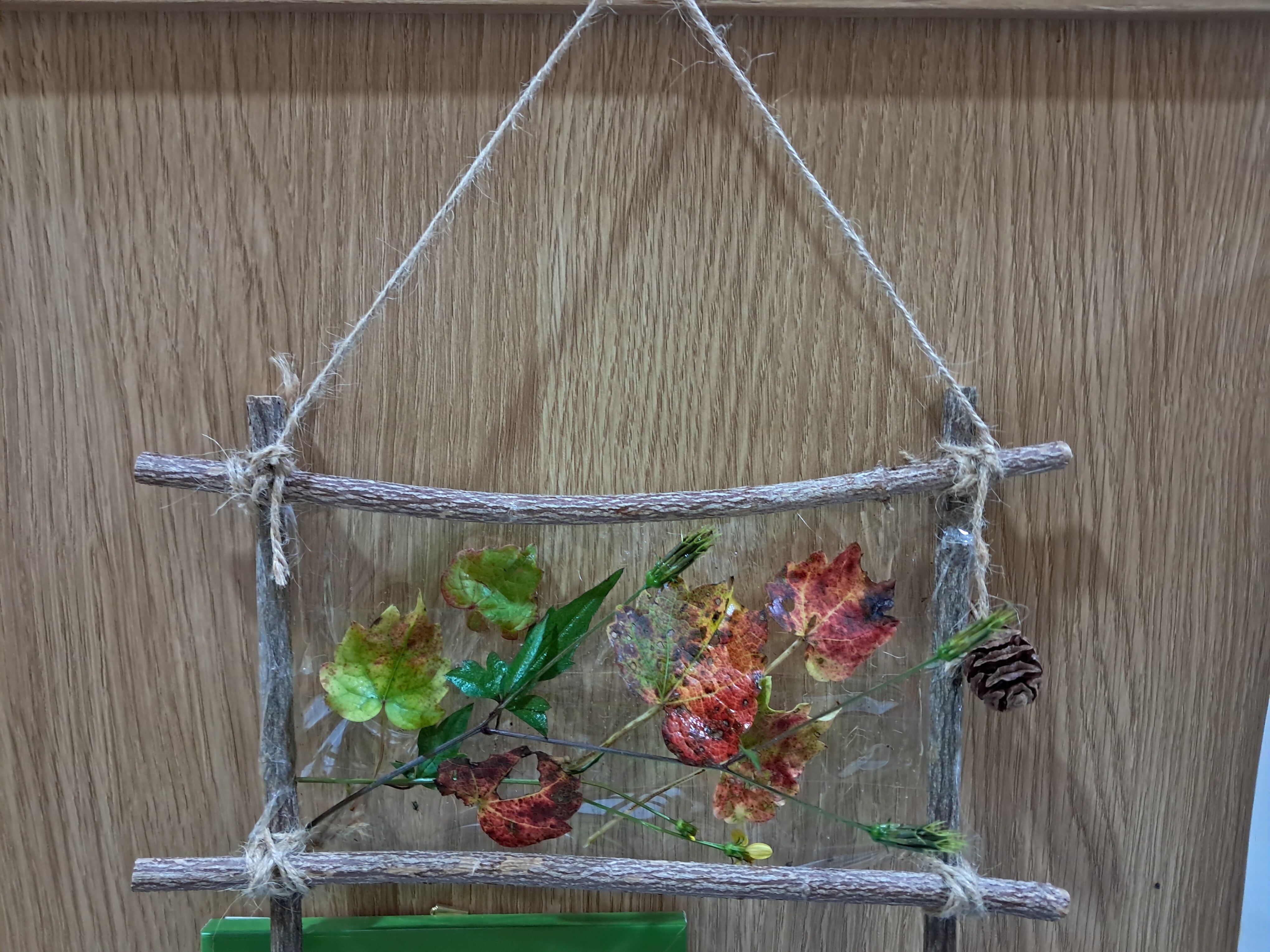 산림치유 (치유센터)