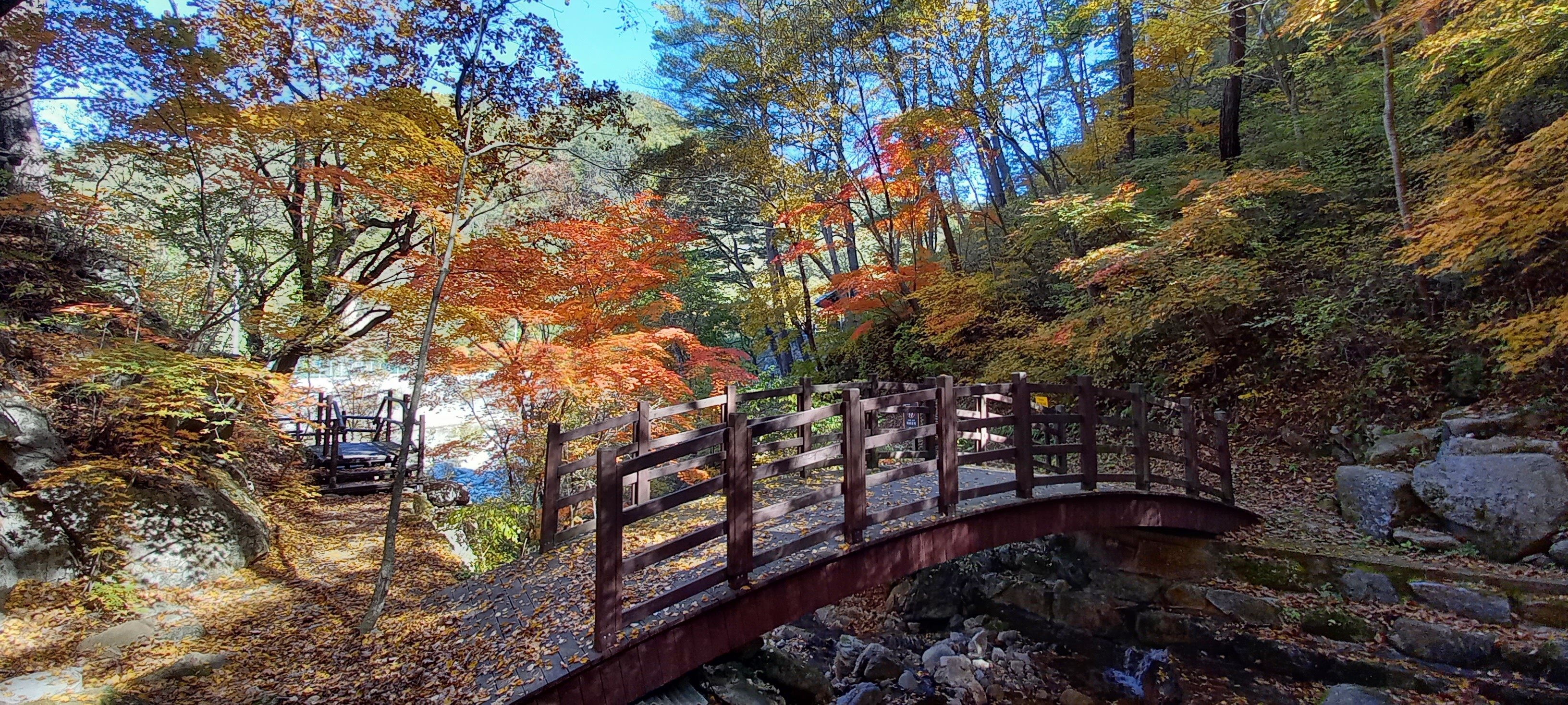 하추자연휴양림 산책로 B코스 