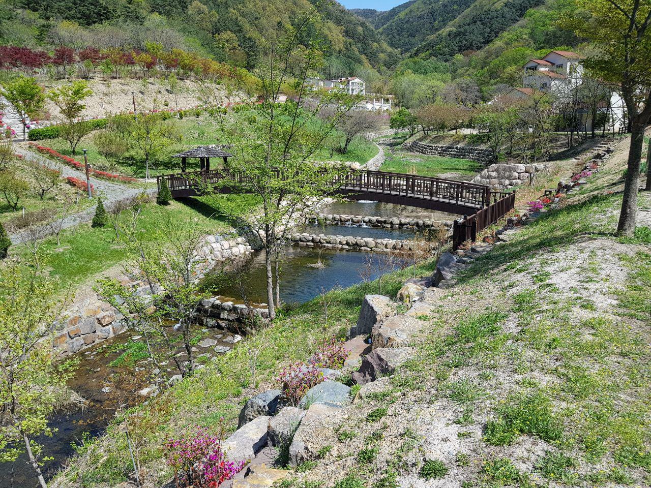 비학산자연휴양림 전경