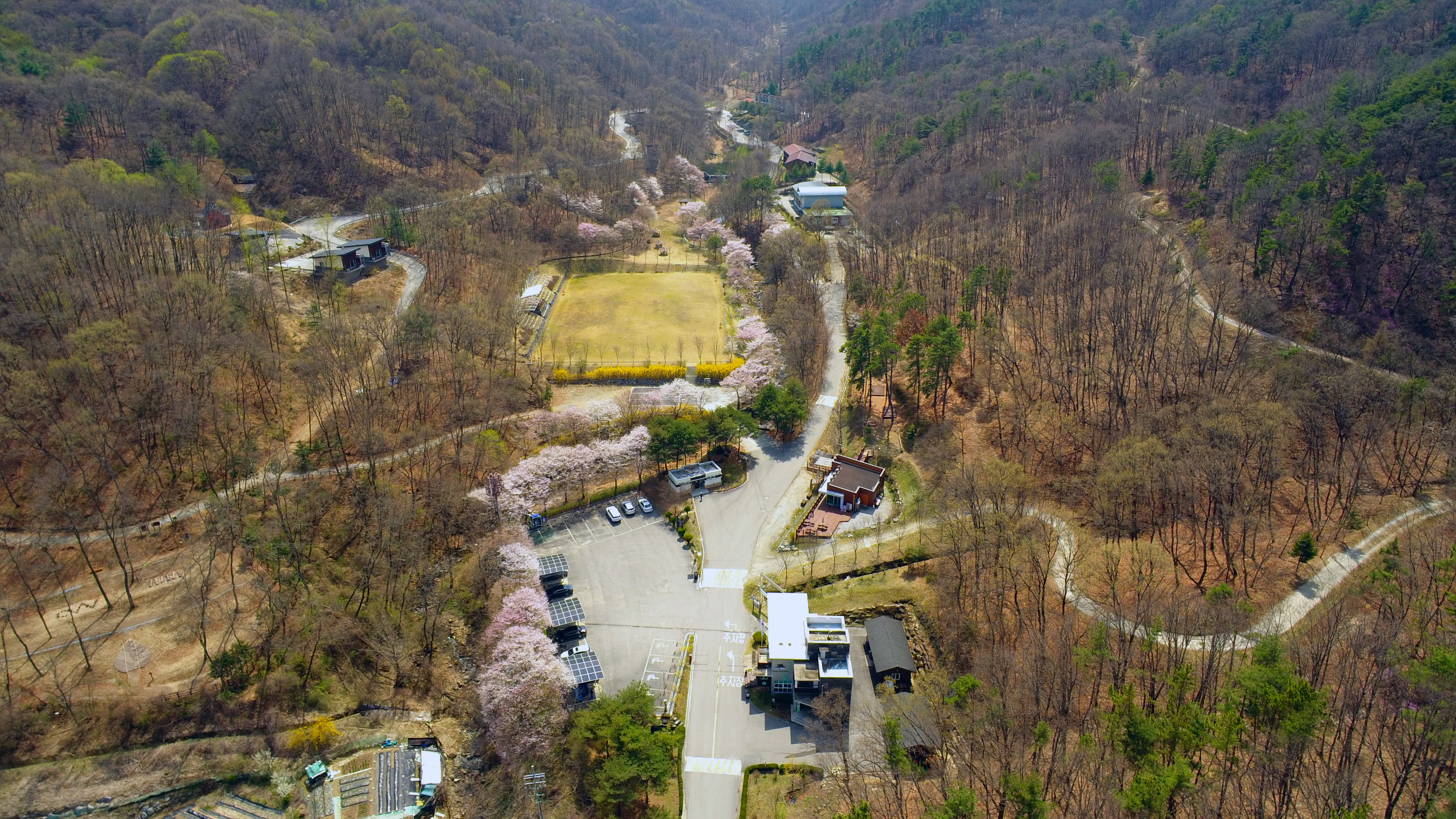 상당산성자연휴양림 봄 벚꽃 풍경
