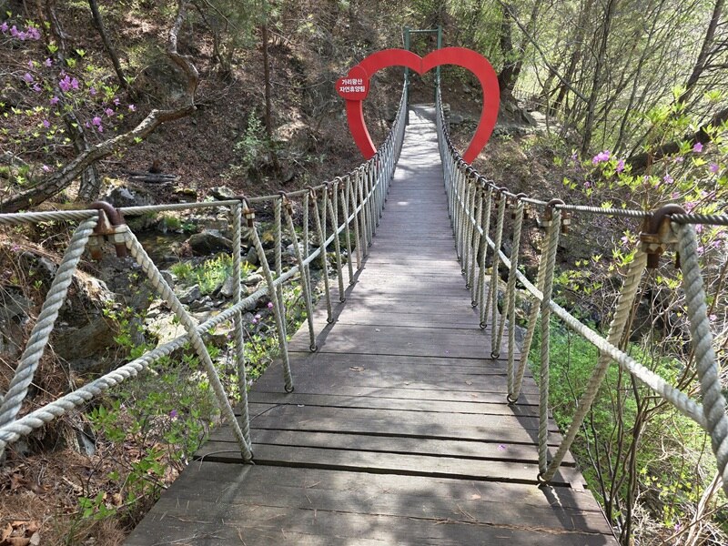 출렁다리