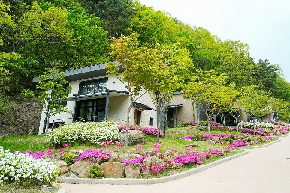 숲속의집