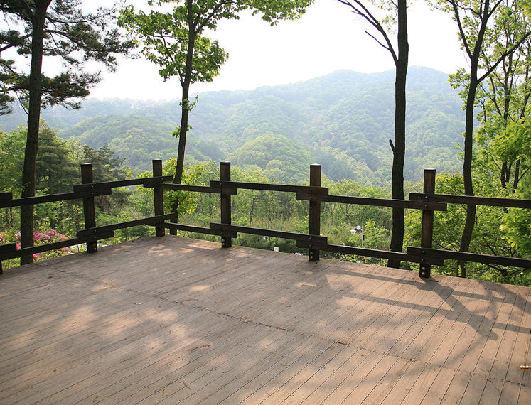 캠핑장
