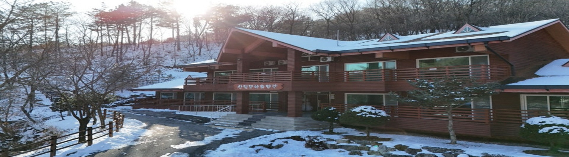 C동