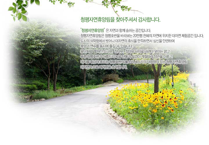 청평자연휴양림 - 자연휴양림안내 |