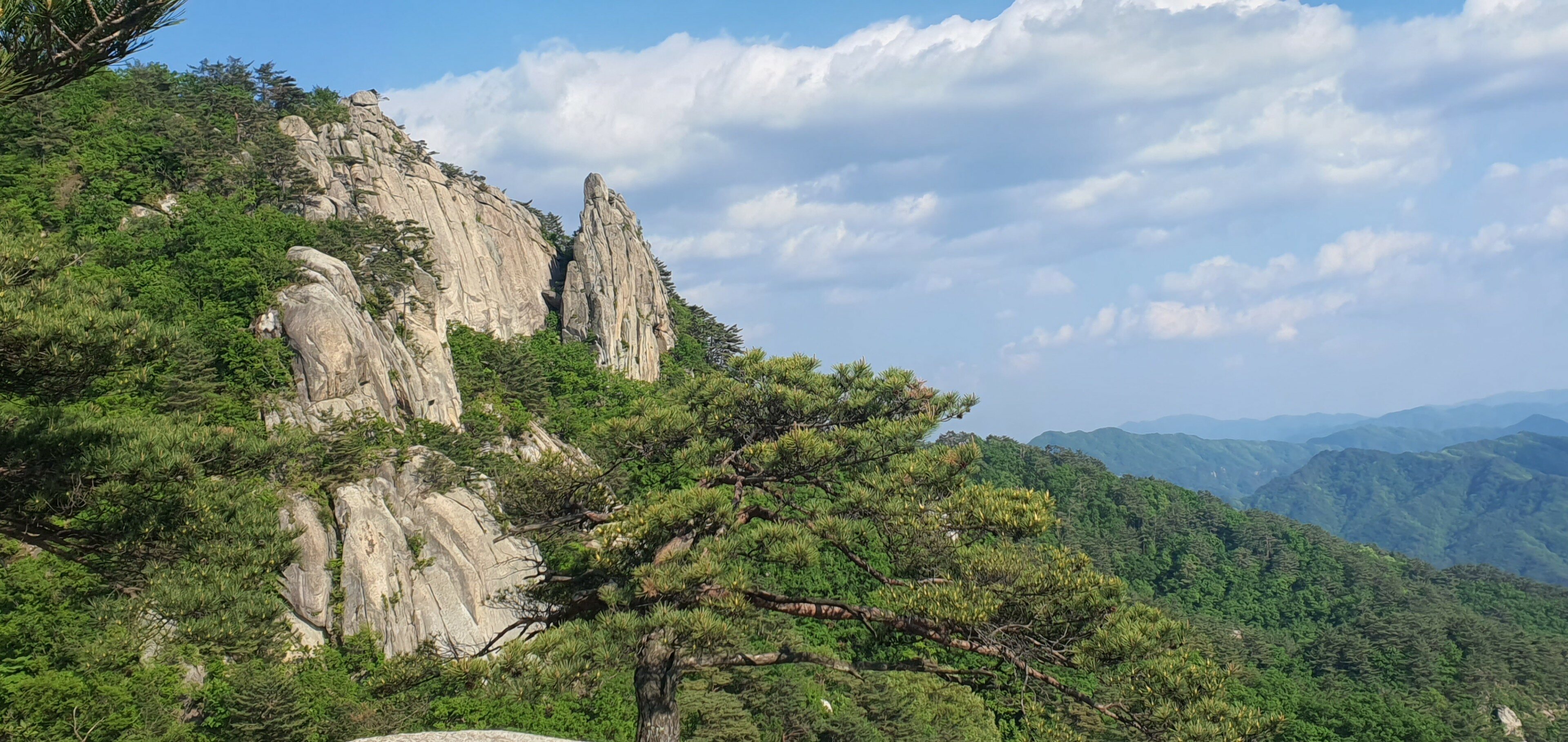 산림청이 선정한 100대 명산 용화산