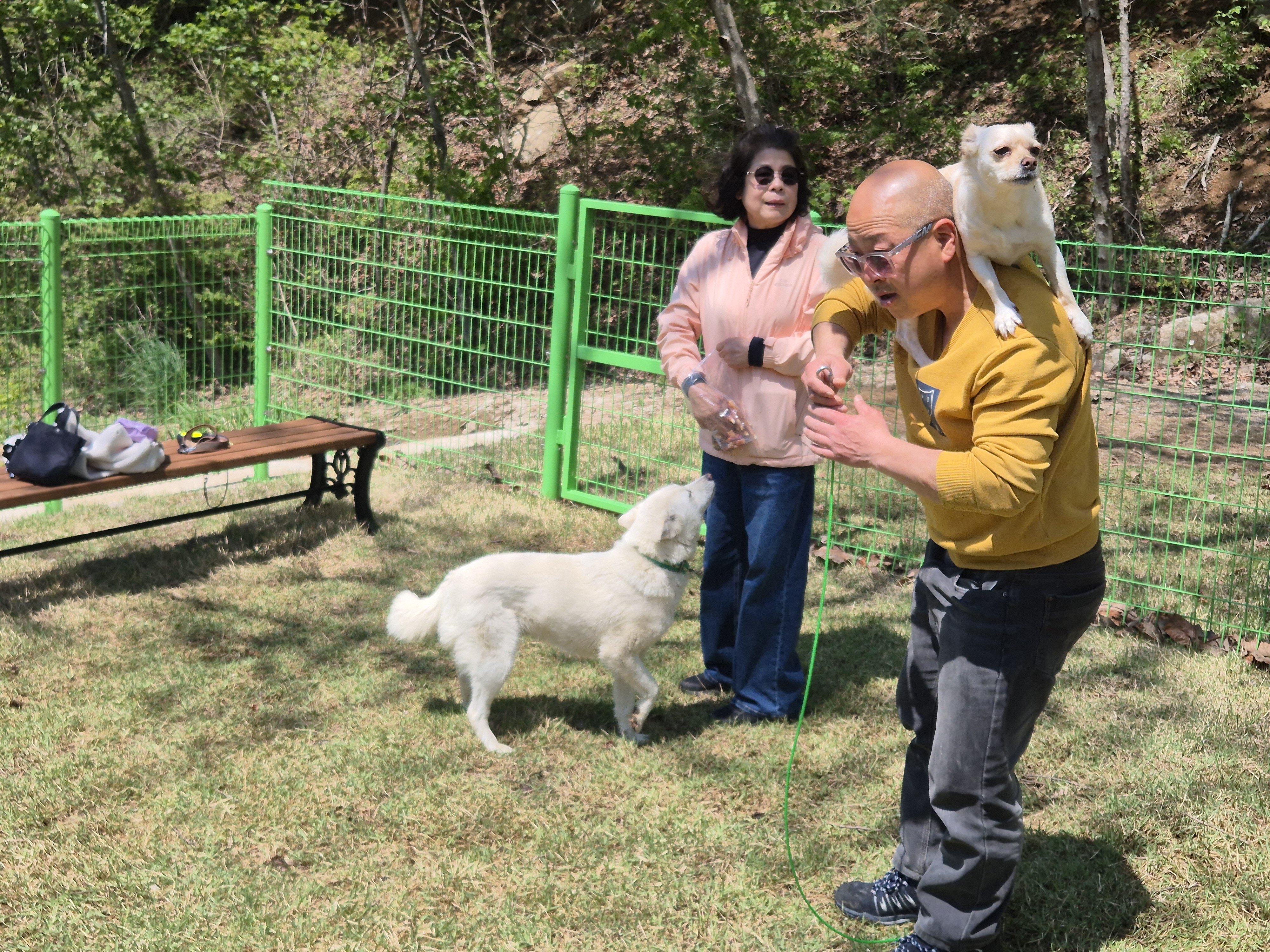 산삼 숲속의 전경