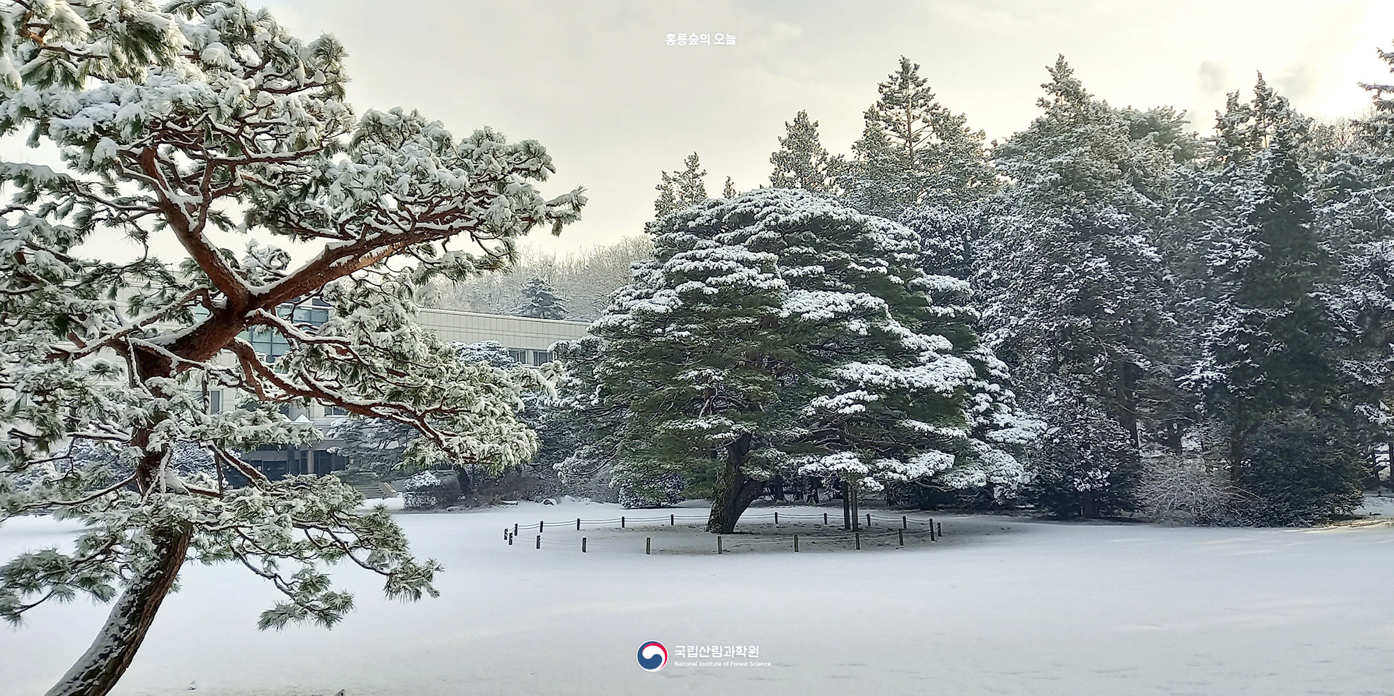 홍릉의 겨울
