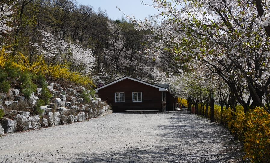 단체실