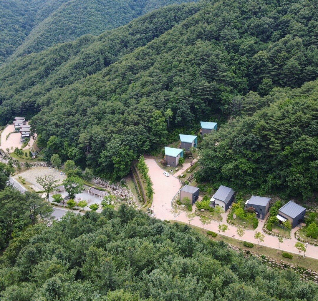 휴양림전경
