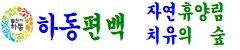 하동편백자연휴양림. 치유의 숲