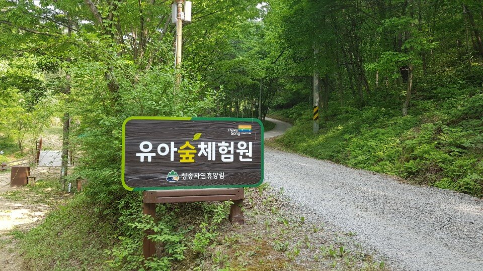 등록된 사진이 없습니다