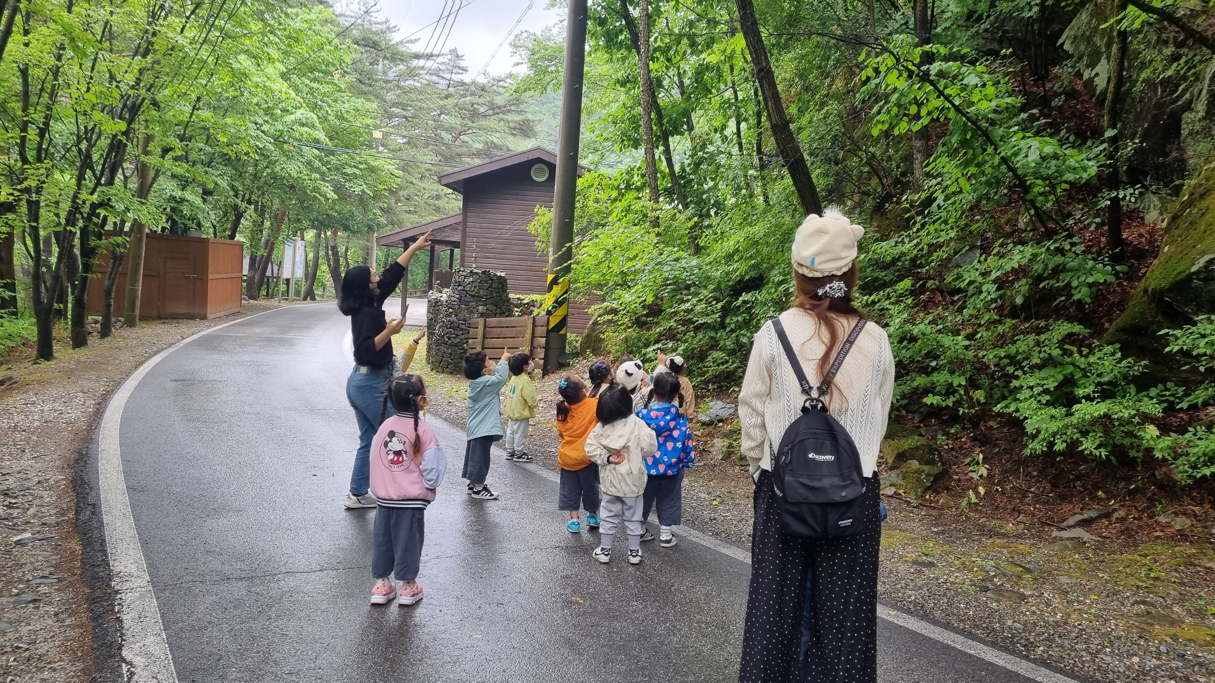 산림청 국립가리왕산자연휴양림 - |