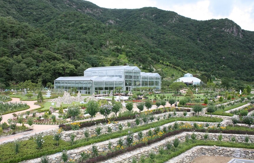 고산자연휴양림 - |