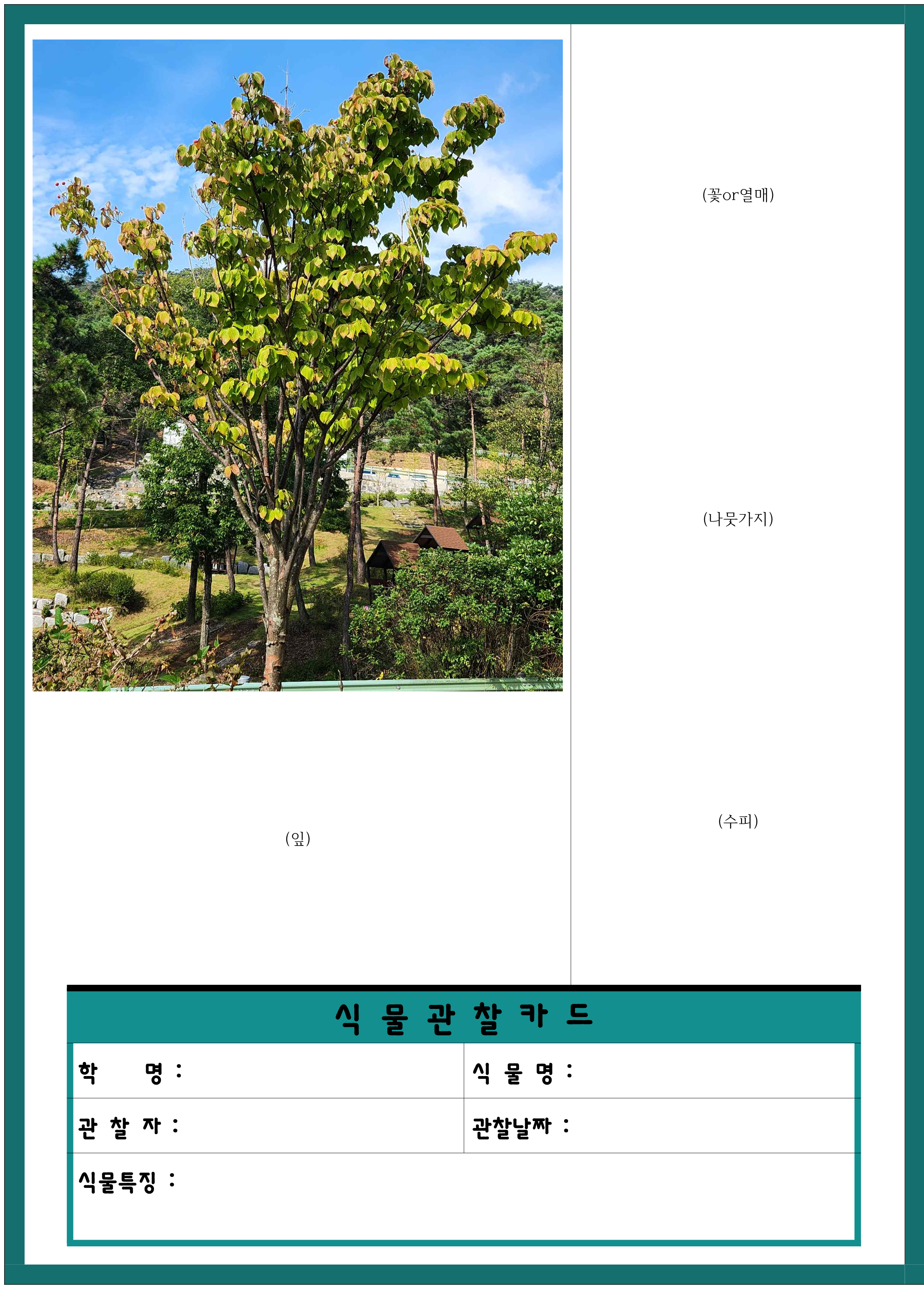 등록된 사진이 없습니다