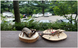 등록된 사진이 없습니다