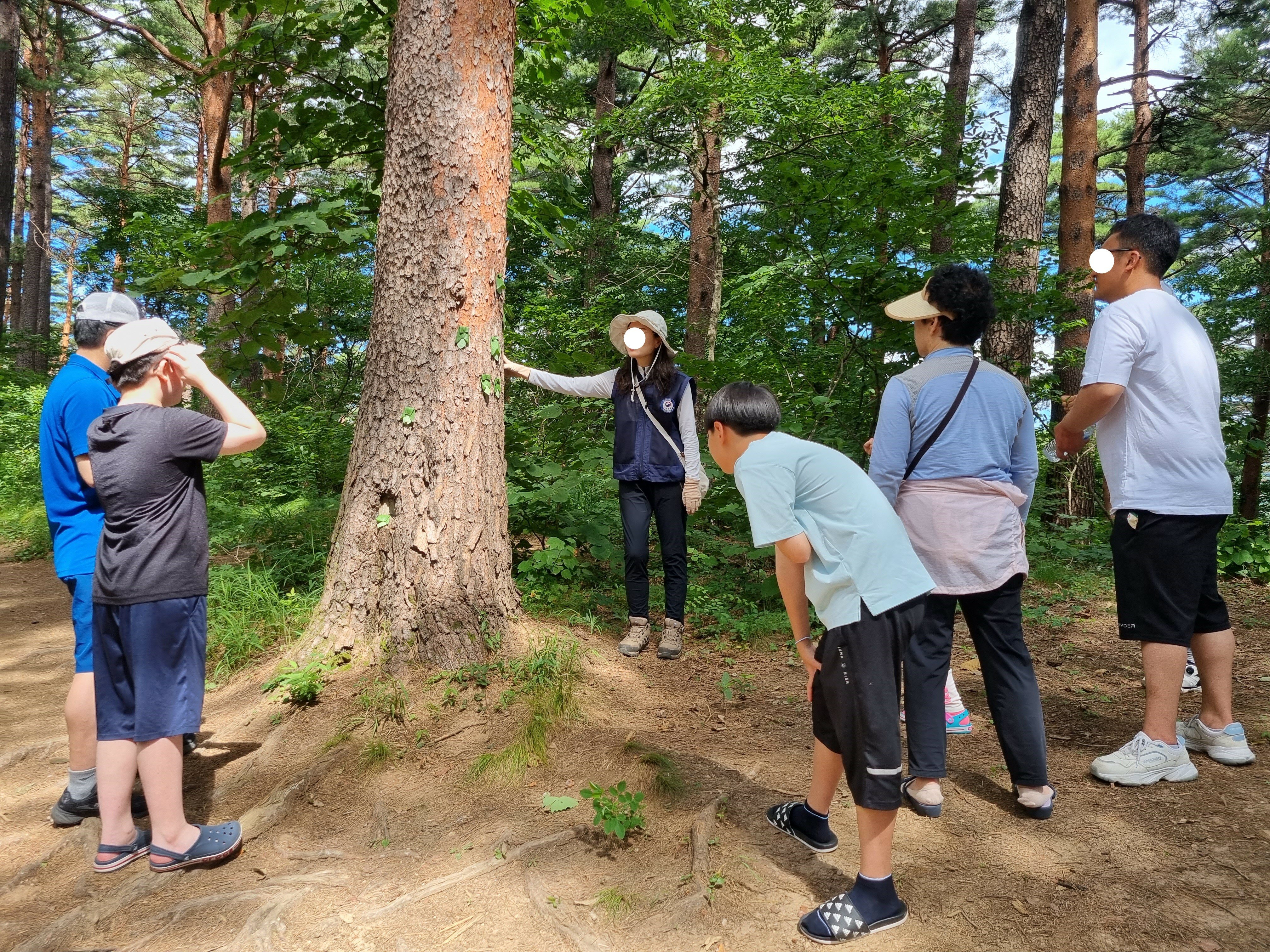 등록된 사진이 없습니다